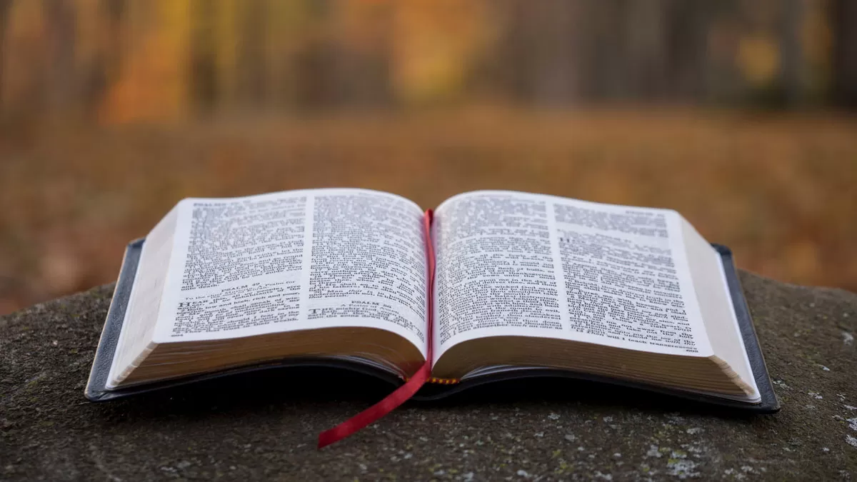 Biblia Internet